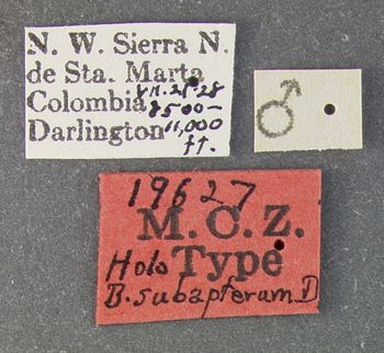 Media type: image;   Entomology 19627 Aspect: labels